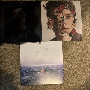 Shawn Mendes Vinyl Lot